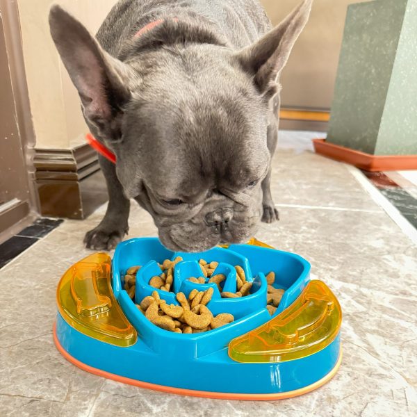 Plato alimentación lenta mascotas