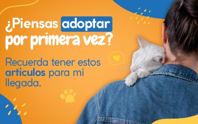 ¿Piensas adoptar por primera vez? Recuerda tener estos artículos para mi llegada