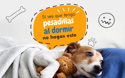 Si ves que tengo pesadillas al dormir, no hagas esto