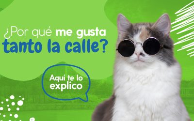 ¿Por qué me gusta tanto la calle? Aquí te lo explico