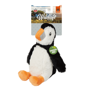 Wild Penguin