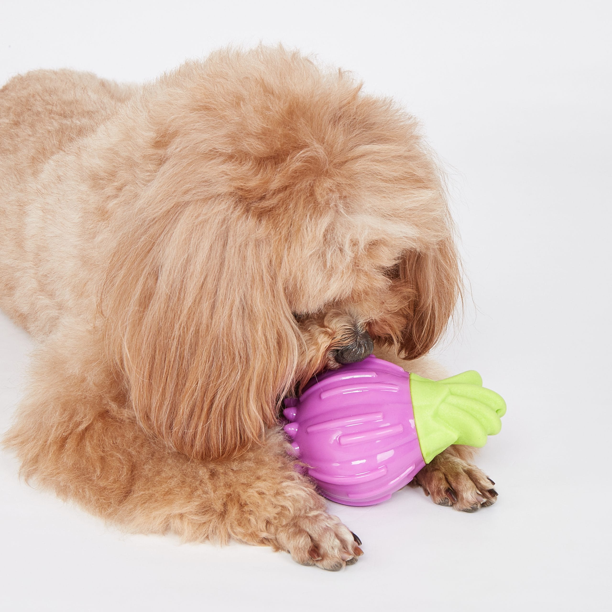 ONION CON SONIDO - Imagen 3